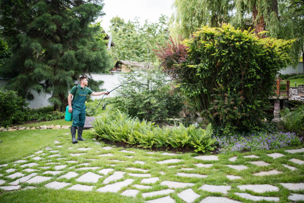 Best Pest Control Cost  in Minoa, NY