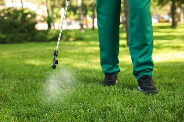 Best Emergency Pest Control  in Minoa, NY