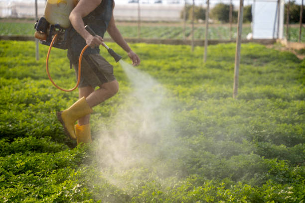 Best Mosquito Control Services  in Minoa, NY