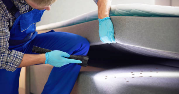 Best Commercial Pest Control Services  in Minoa, NY