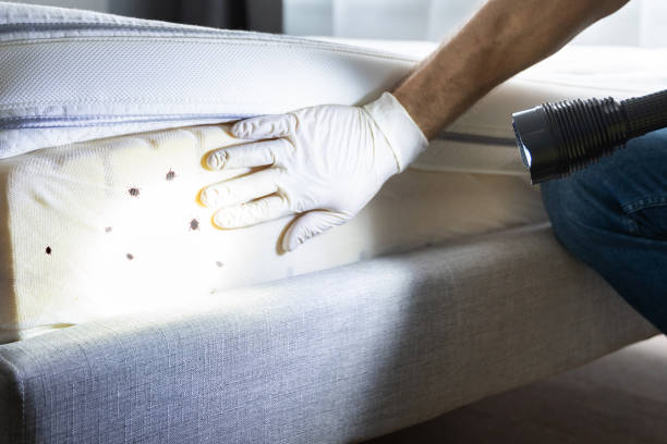 Best Exterminator Services  in Minoa, NY