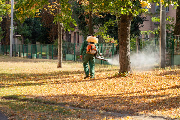 Best Pest Control Treatment  in Minoa, NY
